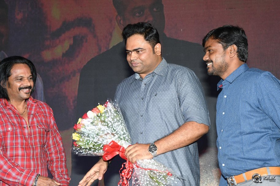Saahasam-Swaasaga-Saagipo-Movie-Audio-Launch